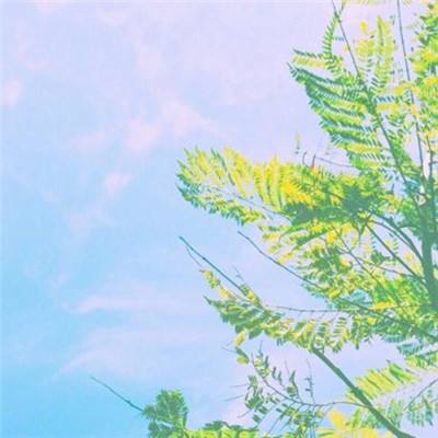 旁观者3游戏(暂未上线)v1.0 安卓版