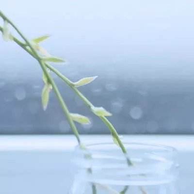 幻想女孩追寻之诗安卓下载